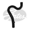 GATES 3994 Radiator Hose